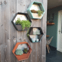 Susteelable wand plantenbak combinatie